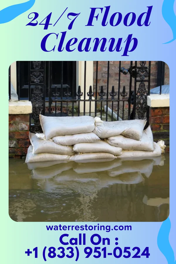 24/7 Flood Cleanup in Bloomville, OH