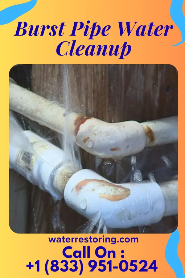 Burst Pipe Water Cleanup in Bloomville, OH