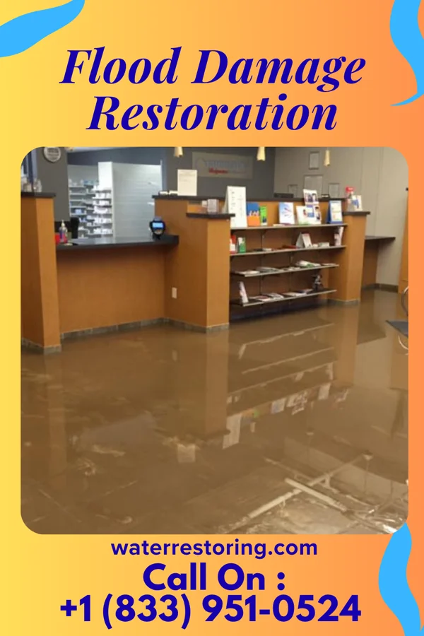 Flood Damage Restoration in Bloomville, OH