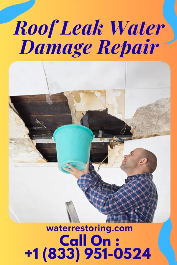 Roof Leak Water Damage Repair in Bloomville, OH
