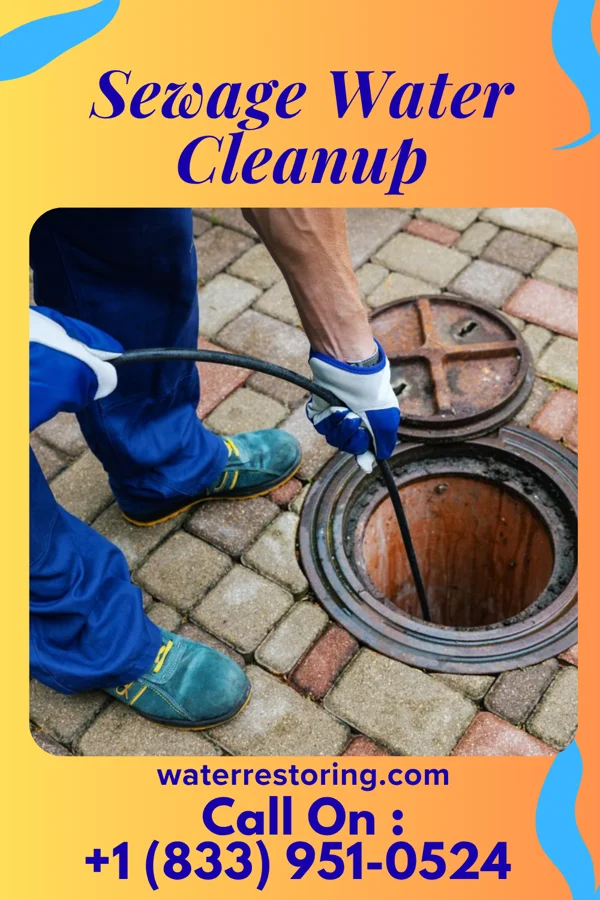 Sewage Water Cleanup in Bloomville, OH
